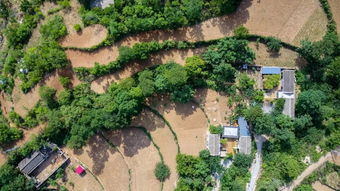 這是一份 森系生日派對(duì) 的完美解決方案